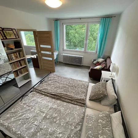 Apartament Novy Horsky Apartman V Jizerskych Horach Hejnice (Liberec)
